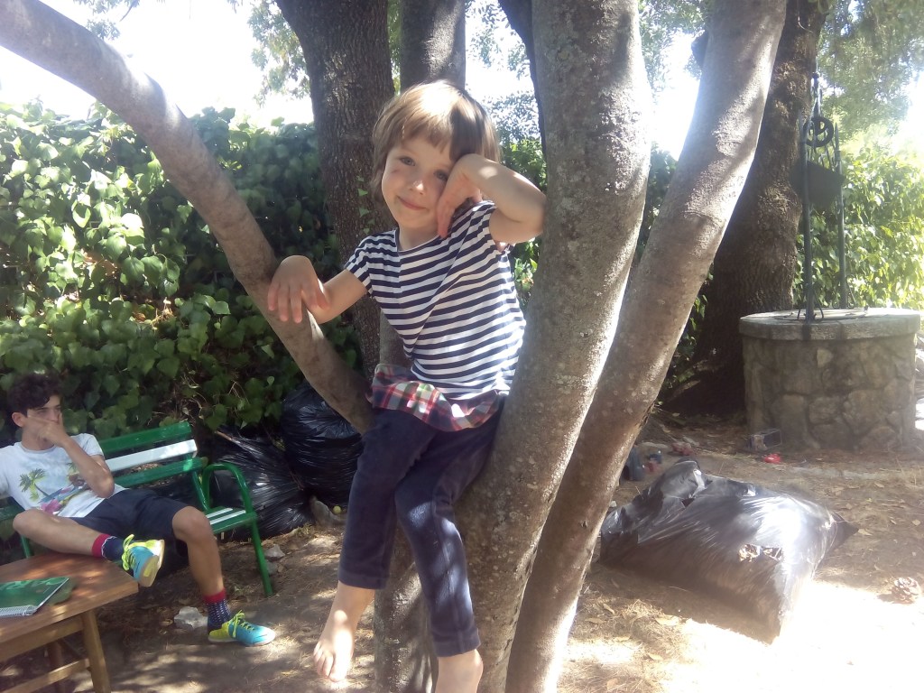 Lolita año 2017, sobre el laurel del chalé de Moralzarzal.