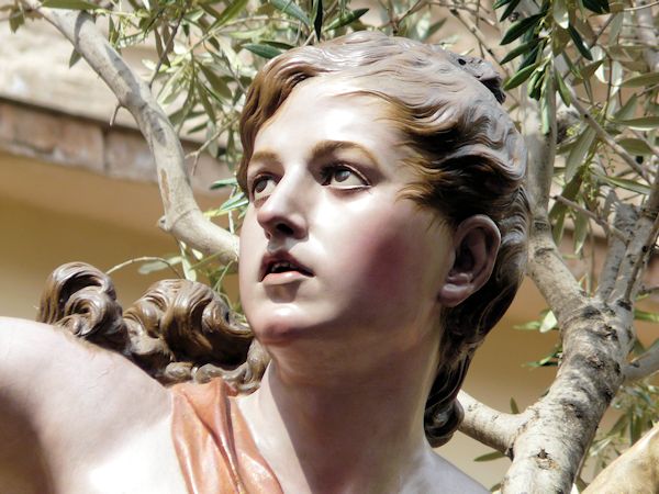 La imagen tiene un atributo ALT vacío; su nombre de archivo es salcillo.jpg